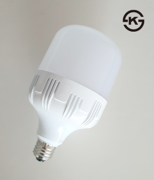 LED 보안등 전구 램프 [30W]